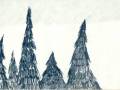 TreesandSky