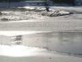 IMG_2007web