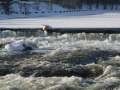 IMG_2006web