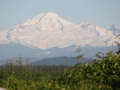 IMG_1547