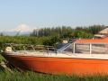 IMG_1559