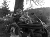 brookskydogcrop_0