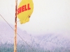 shellsign6x8