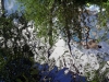 img_1537w8x6_0