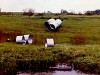 woodwatersteel6x8