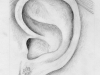 Ear