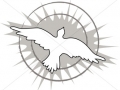 Dove
